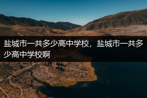 盐城市一共多少高中学校，盐城市一共多少高中学校啊