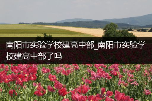 南阳市实验学校建高中部_南阳市实验学校建高中部了吗