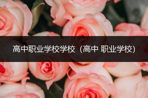 高中职业学校学校（高中 职业学校）