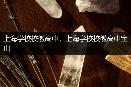 上海学校校徽高中，上海学校校徽高中宝山