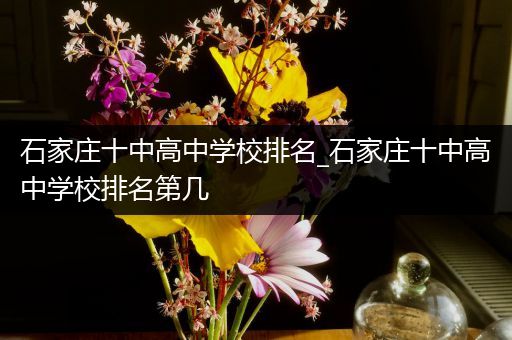 石家庄十中高中学校排名_石家庄十中高中学校排名第几