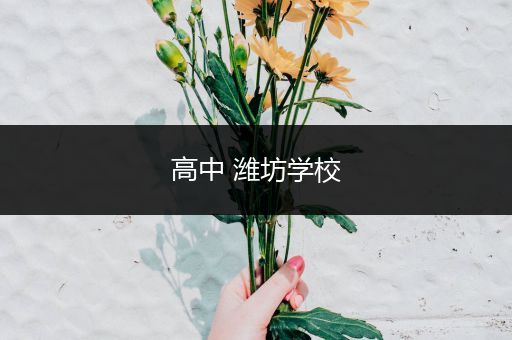 高中 潍坊学校