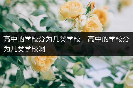 高中的学校分为几类学校，高中的学校分为几类学校啊