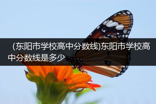 （东阳市学校高中分数线)东阳市学校高中分数线是多少