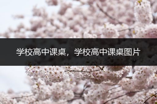 学校高中课桌，学校高中课桌图片