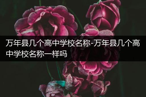 万年县几个高中学校名称-万年县几个高中学校名称一样吗
