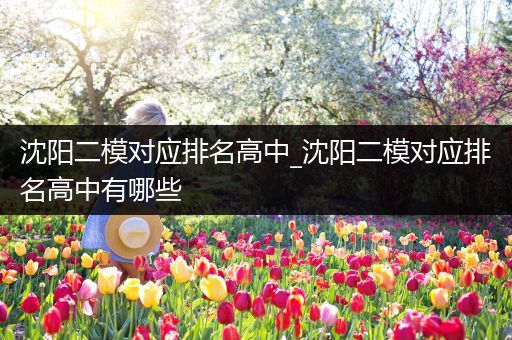 沈阳二模对应排名高中_沈阳二模对应排名高中有哪些