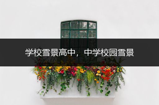 学校雪景高中，中学校园雪景