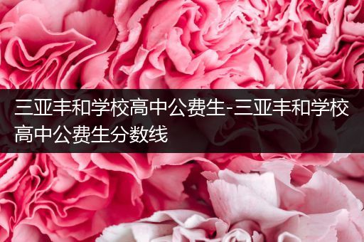 三亚丰和学校高中公费生-三亚丰和学校高中公费生分数线