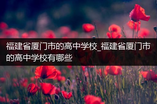 福建省厦门市的高中学校_福建省厦门市的高中学校有哪些