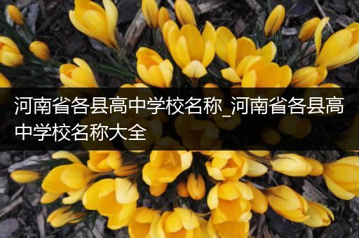 河南省各县高中学校名称_河南省各县高中学校名称大全