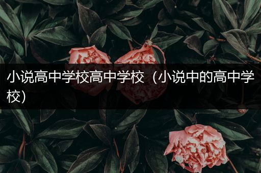 小说高中学校高中学校（小说中的高中学校）