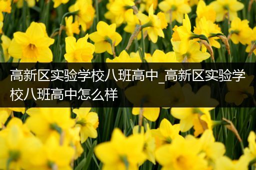 高新区实验学校八班高中_高新区实验学校八班高中怎么样