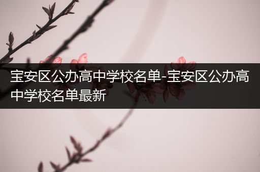 宝安区公办高中学校名单-宝安区公办高中学校名单最新