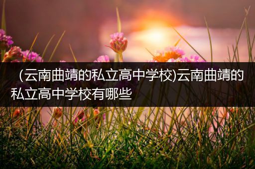（云南曲靖的私立高中学校)云南曲靖的私立高中学校有哪些