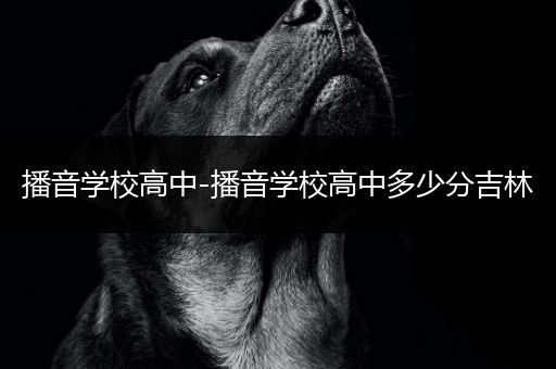 播音学校高中-播音学校高中多少分吉林