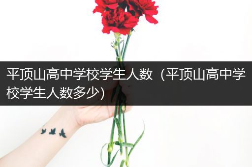 平顶山高中学校学生人数（平顶山高中学校学生人数多少）