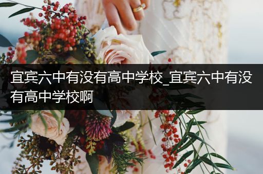 宜宾六中有没有高中学校_宜宾六中有没有高中学校啊
