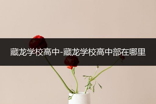 藏龙学校高中-藏龙学校高中部在哪里