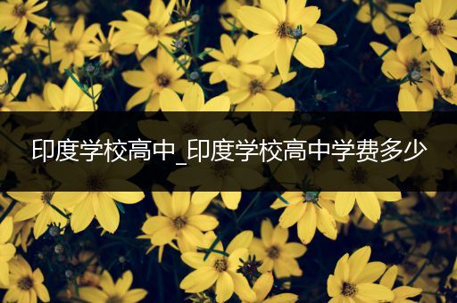 印度学校高中_印度学校高中学费多少