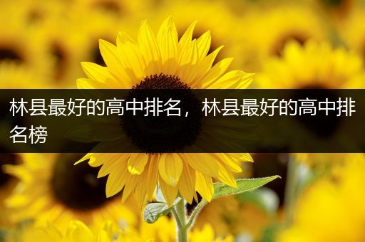 林县最好的高中排名，林县最好的高中排名榜