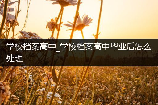 学校档案高中_学校档案高中毕业后怎么处理