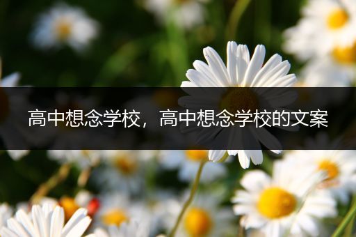 高中想念学校，高中想念学校的文案