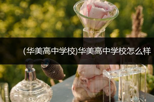 （华美高中学校)华美高中学校怎么样