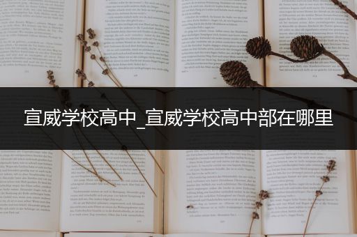 宣威学校高中_宣威学校高中部在哪里