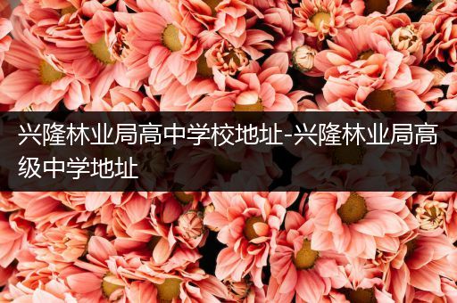 兴隆林业局高中学校地址-兴隆林业局高级中学地址