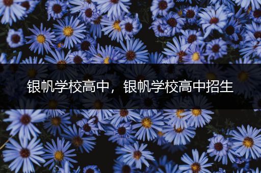银帆学校高中，银帆学校高中招生
