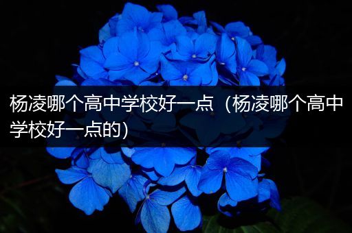 杨凌哪个高中学校好一点（杨凌哪个高中学校好一点的）