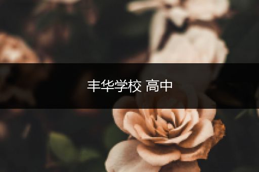 丰华学校 高中