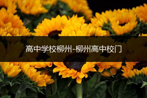 高中学校柳州-柳州高中校门