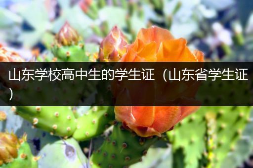山东学校高中生的学生证（山东省学生证）