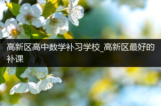 高新区高中数学补习学校_高新区最好的补课