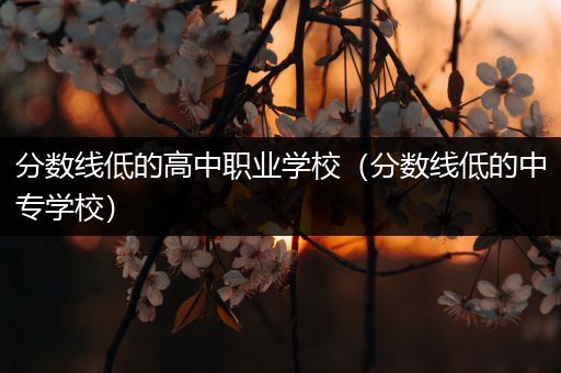 分数线低的高中职业学校（分数线低的中专学校）