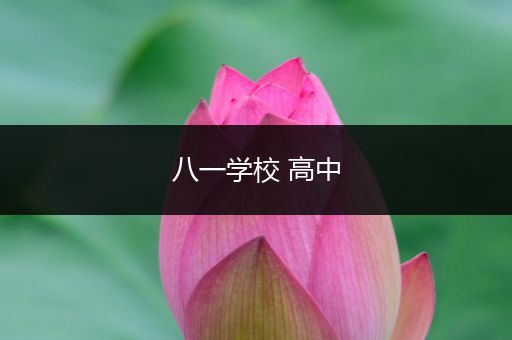 八一学校 高中