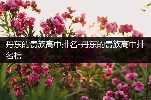 丹东的贵族高中排名-丹东的贵族高中排名榜