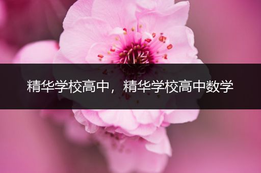 精华学校高中，精华学校高中数学
