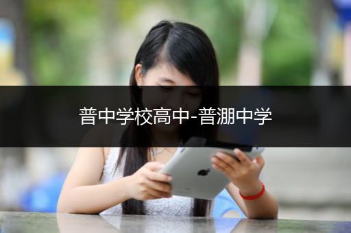 普中学校高中-普淜中学