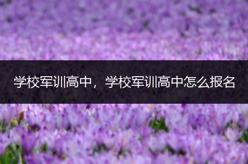 学校军训高中，学校军训高中怎么报名