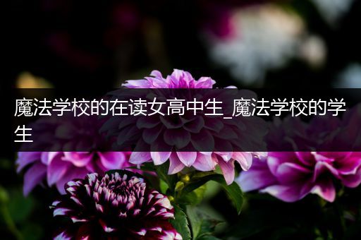 魔法学校的在读女高中生_魔法学校的学生