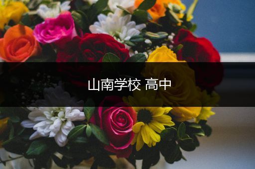 山南学校 高中