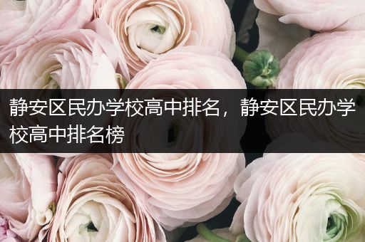 静安区民办学校高中排名，静安区民办学校高中排名榜