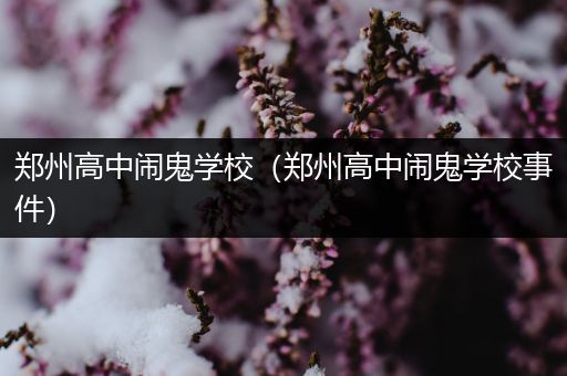 郑州高中闹鬼学校（郑州高中闹鬼学校事件）