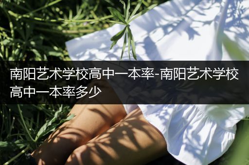 南阳艺术学校高中一本率-南阳艺术学校高中一本率多少