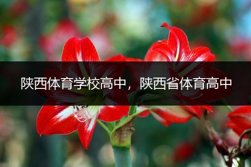 陕西体育学校高中，陕西省体育高中