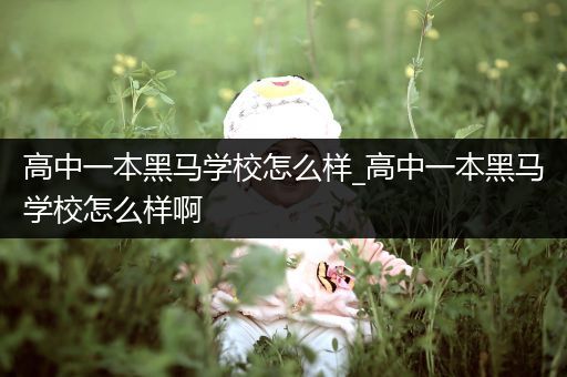 高中一本黑马学校怎么样_高中一本黑马学校怎么样啊