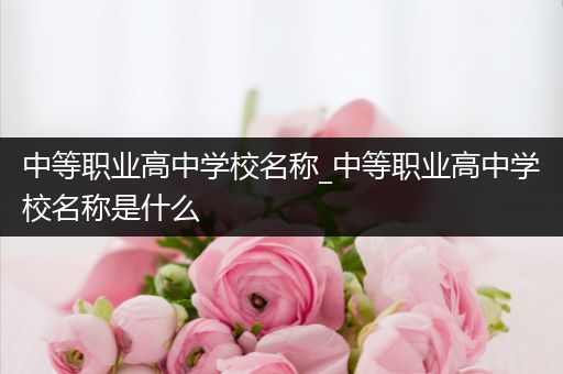 中等职业高中学校名称_中等职业高中学校名称是什么